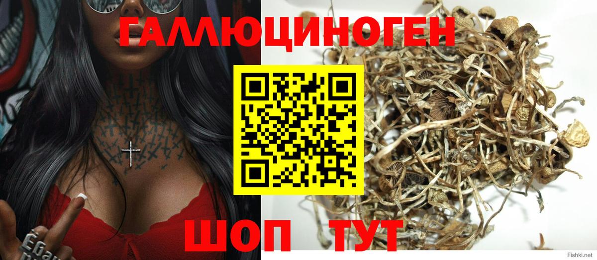 Псилоцибиновые грибы MAGIC MUSHROOMS Кузнецк