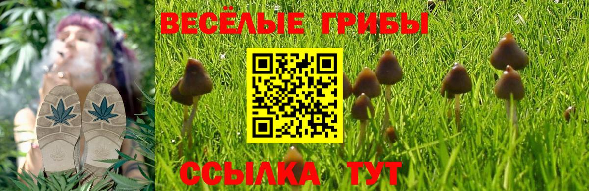 купить наркоту  Галлюциногенные грибы ЛСД  Вход с VPN  Кузнецк 